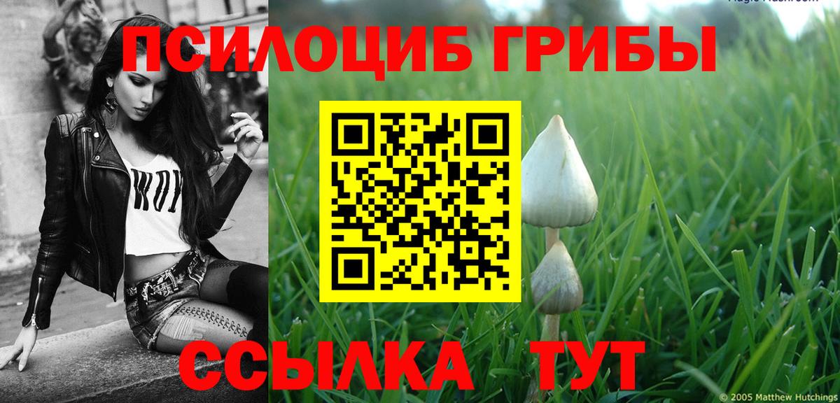 Галлюциногенные грибы прущие грибы  Вход с VPN  Тихвин 